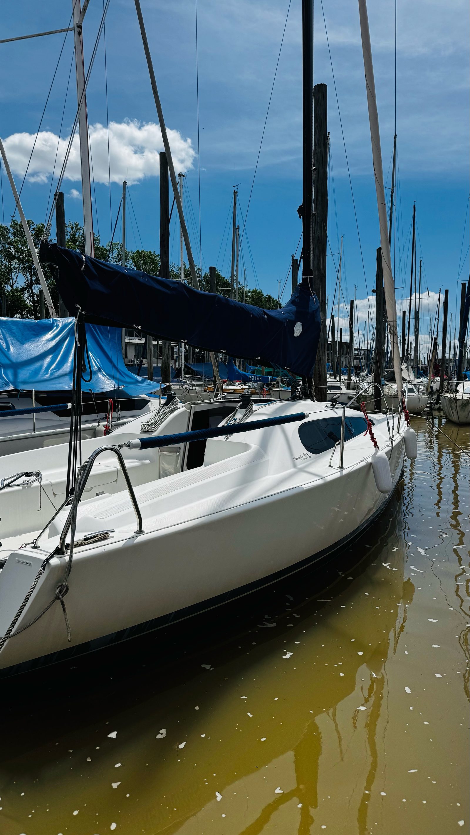 Velero BELNA MASTRACCHIO 24.5 en venta — 7.25 m (24.5 pies), año 2014 - Foto 6