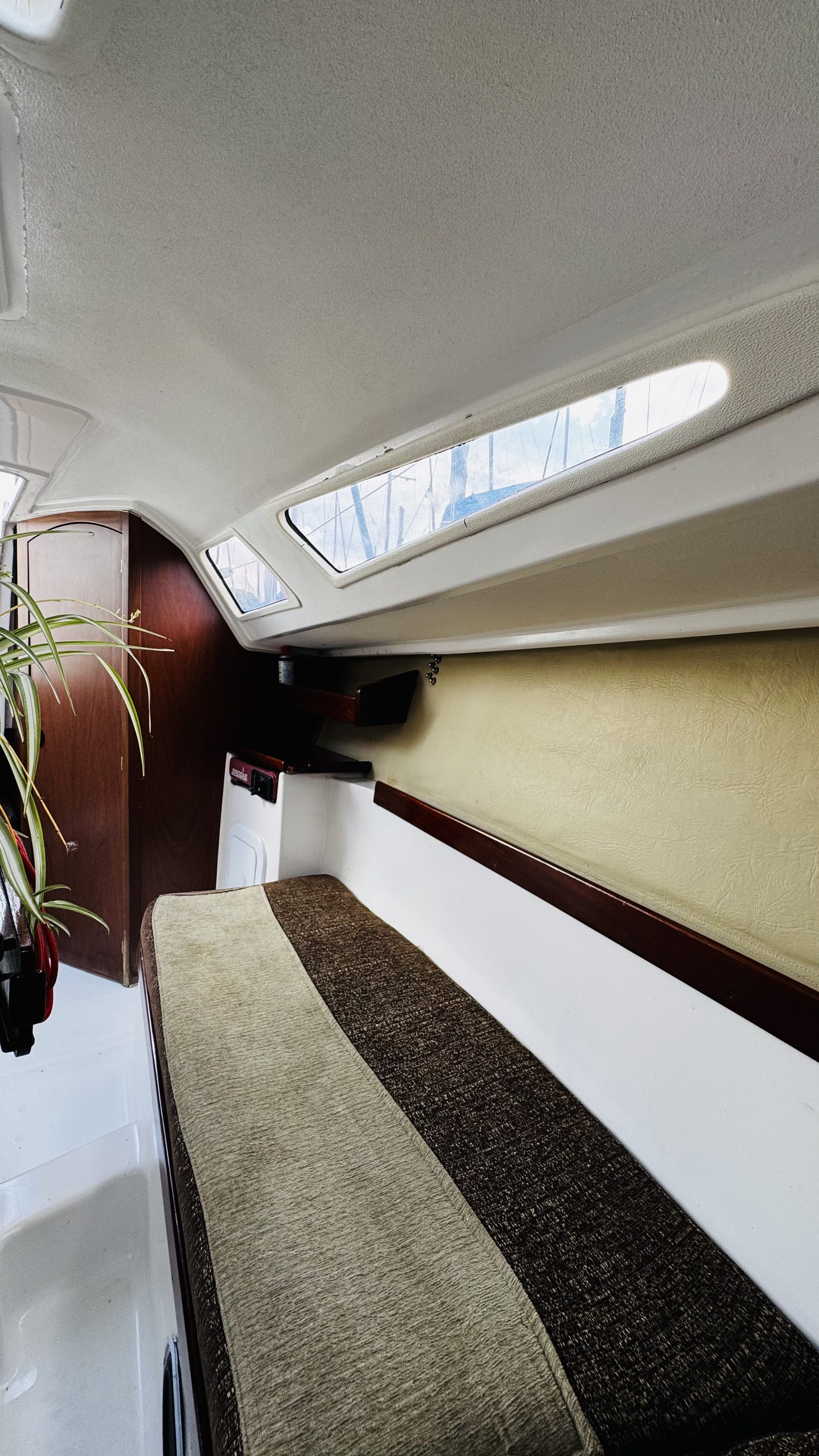 Velero BELNA MASTRACCHIO 24.5 en venta — 7.25 m (24.5 pies), año 2014 - Foto 16